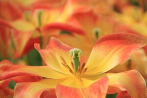 保育園の先生が復職するために知っておくべきポイントは？