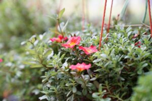 保育士復職のための職務経歴書の書き方は？