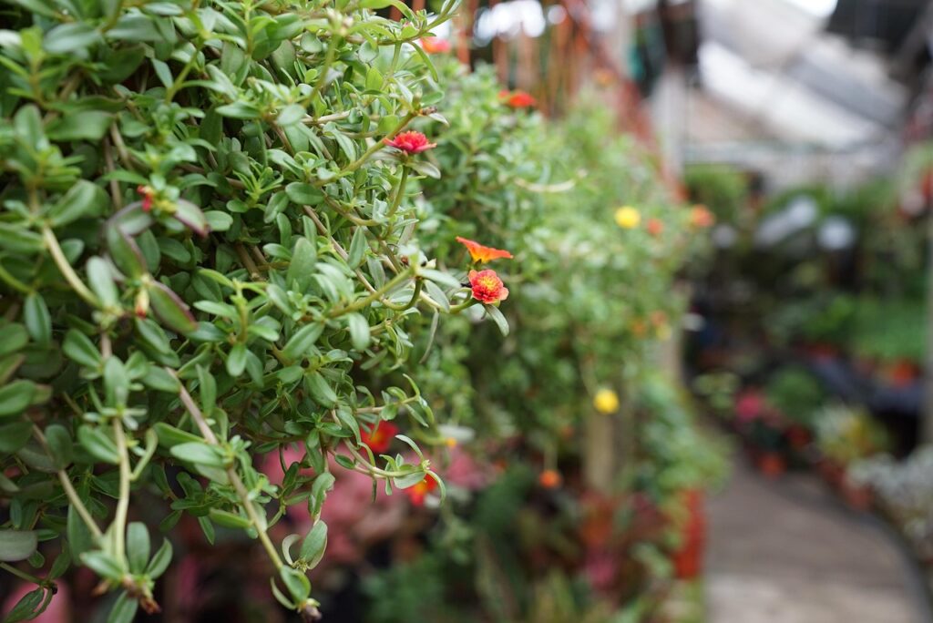 保育士がブランクから復帰できるか不安なあなたへ？
