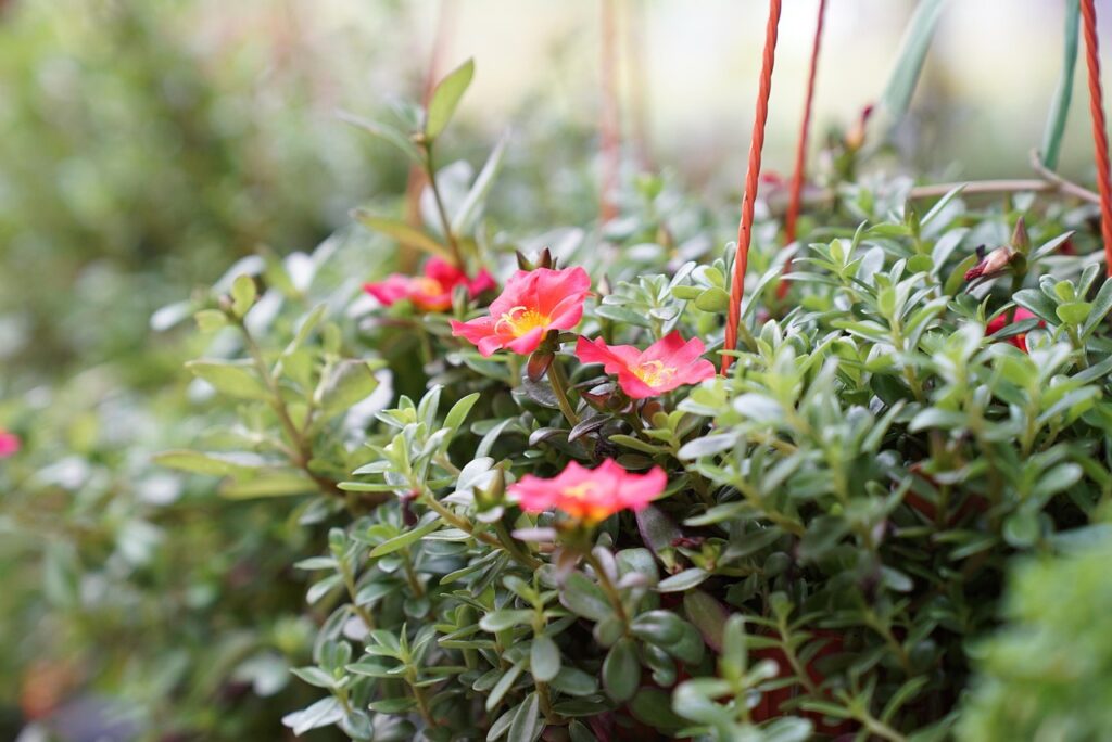 保育士が復職する際の保育所復帰支援事業とは？