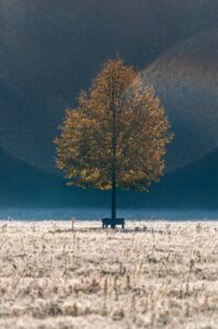 保育士として子育てをしながら落ち着いた環境で再就職する方法は？