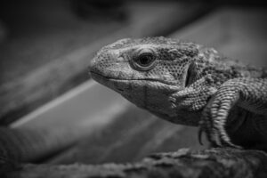 保育士復帰のためのサポート研修はどのように受けられる？