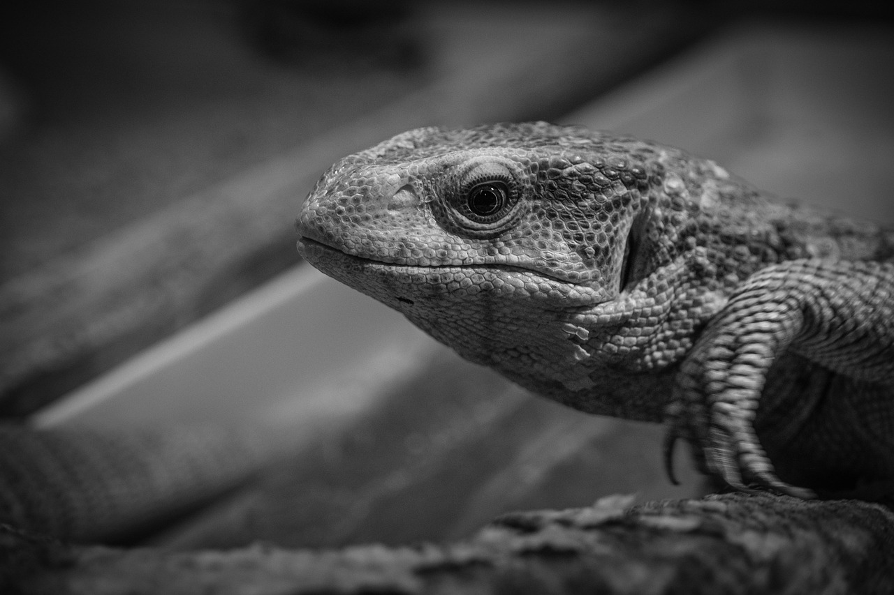 保育士復帰のためのサポート研修はどのように受けられる？