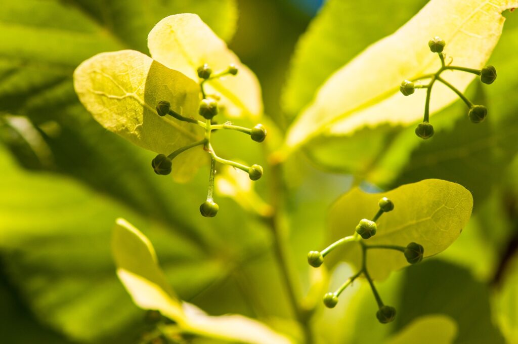 保育士復職の求人が見つからない理由とは？