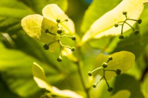 保育士復職の求人が見つからない理由とは？