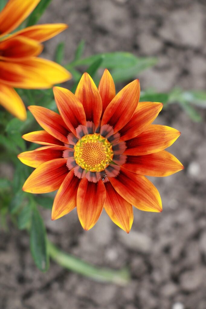 保育士のブランクはいつまで平気なのか？