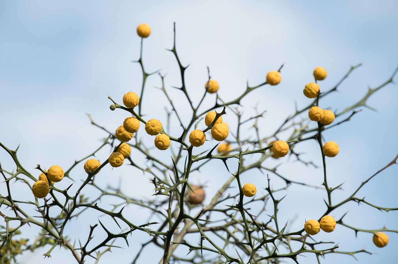 復職した保育士が再就職で失敗するあるあるとは？