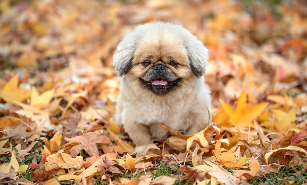 復職した保育士が声が出ない時の発声ケア方法は？