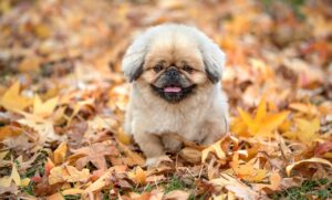 復職した保育士が声が出ない時の発声ケア方法は？