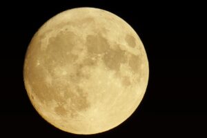 復職した保育士が0歳担任に対する不安を解消するための対策は？