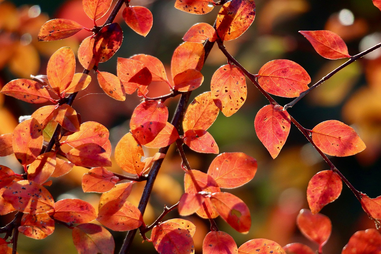 復職後の保育士が偏食の子どもに行う対応と声かけは？