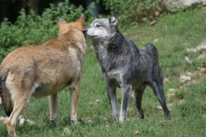 復職を目指す保育士が知っておくべき復職準備の優先順位は？