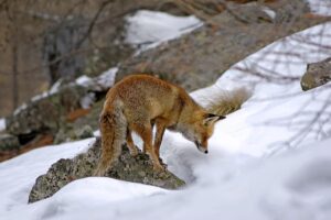 復職後の保育士が知っておくべき実技試験の手遊び内容は？